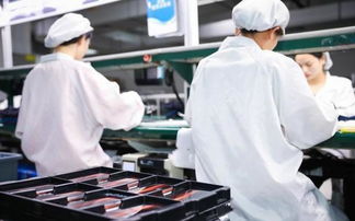 用夯实的基础一步步走向巅峰,看vivo如何成为最受欢迎品牌